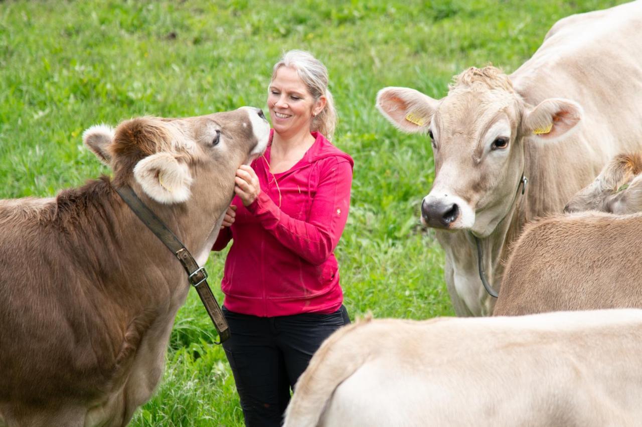 Riemenerhof Farma Fügen