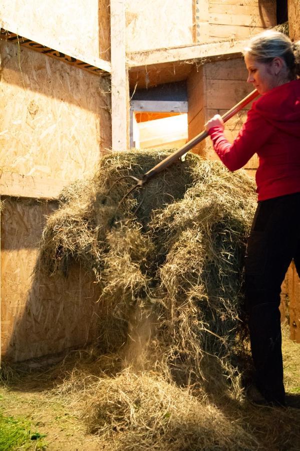 Farma Riemenerhof Fügen